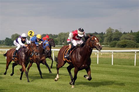 horse racing fairview